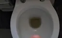 SkinnyWithAHugeDick: Pissing in the Toilet Compilation