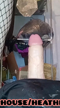 Transeksüel Anal
