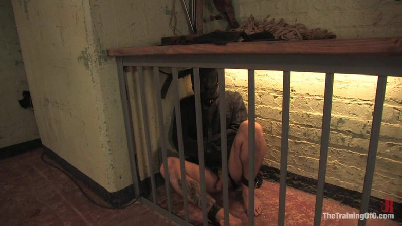 The Training of O by Kink: Trénink Holly Stevens day čtyři