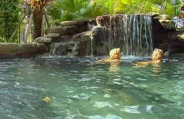 Perfect Porno: Petite teens gone wild playing on the river with their...