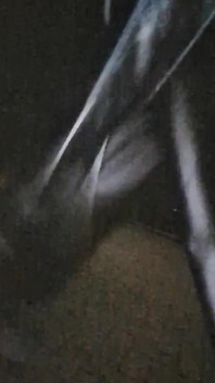 Muž chodí venku a ukazuje své koule