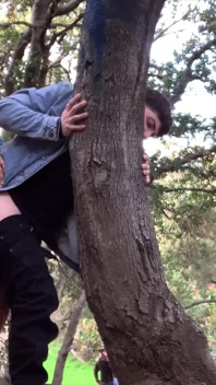 Il papi dotato scopa il culo dei fusti dell'albero sborrata anale gay sborrata profonda allevamento!