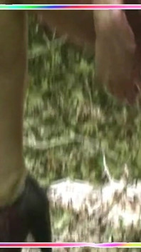 Video dari hutan