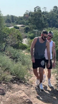 Hot Fuck in the Pine Forest