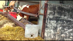 Purzel Official: 私を置いて