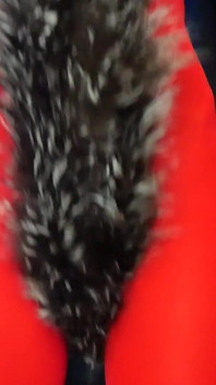Cameltoe and Fur Fox to Make You Dumber and Dumber