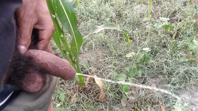 Desimast7: Indický chlapec chčije ráno