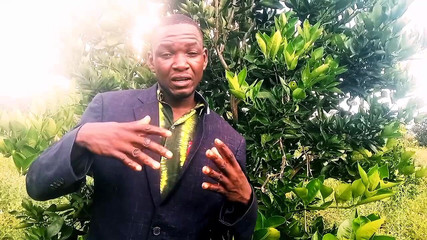 Judith xxx: Dobrý den, drahá