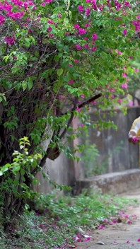 Indian Beautiful Girl Hardcore Sex with Village Boy