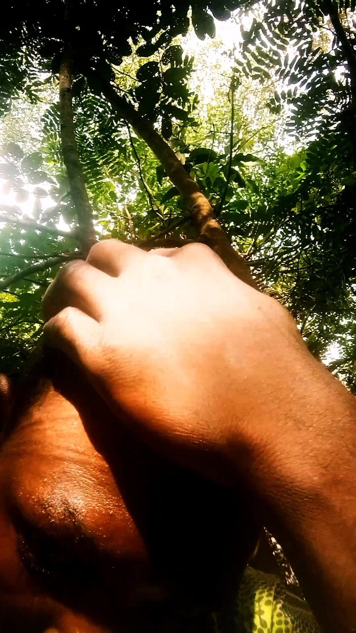 Judith xxx: सुबह का सत्र