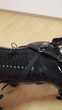 Un chiot attaché avec du latex, promenant le chien