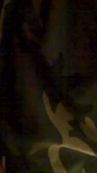 Vechi videoclip sexual 1