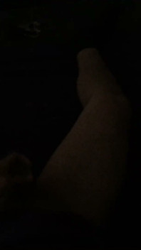 흑인 모험 82