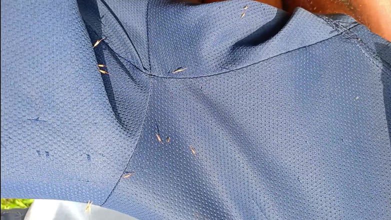 LinearOrnament35: Vlog Seks bergoyang membuatkan zakar lebih lama