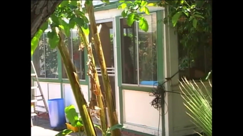 Full Movie XXX: Le Cochon Suce Une Bite