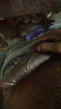 Sl Big Cock Handshake Bull Master