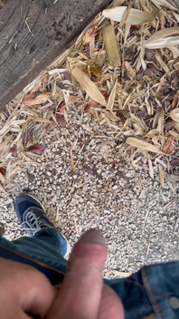 Peeing in the Garden