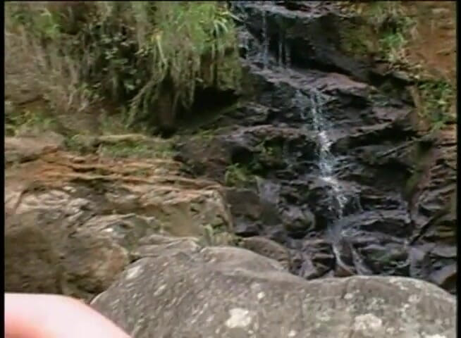 Vintage Usa: Asians babe cock sucking pussy fucking