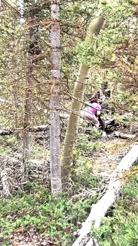 Мінет На Відкритому Повітрі