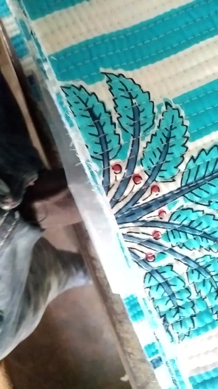 GlassCenterline86: Xxx qué gran tierra de tu video xxx