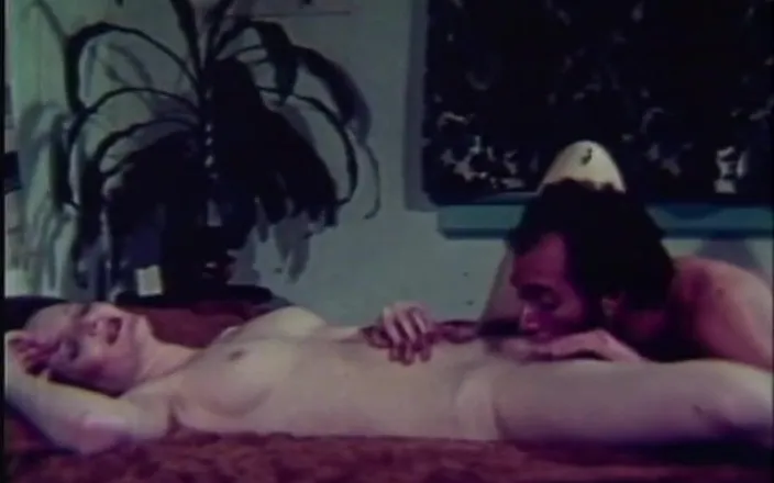 Vintage megastore: Classic hairy brunette MILF retro sex