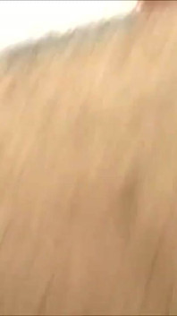 与角质金发女郎的户外性爱