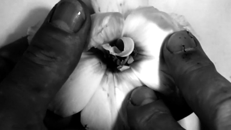 Kane Santiago: Fetysz dłoni - moje ręce niszczące kwiaty i owoce