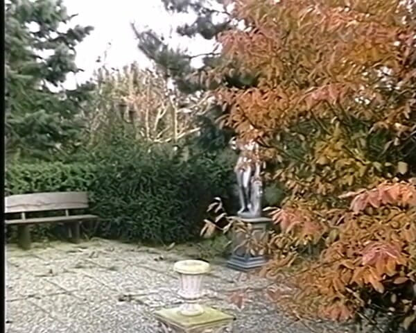 GERMAN PORN CLASSICS: Leidenschaft Pervers - Perverzní vášeň
