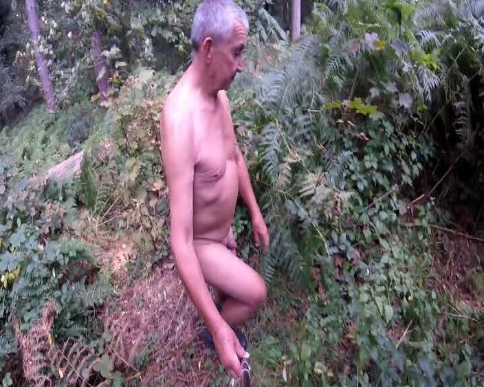 Andy: Menjelajahi New Wood