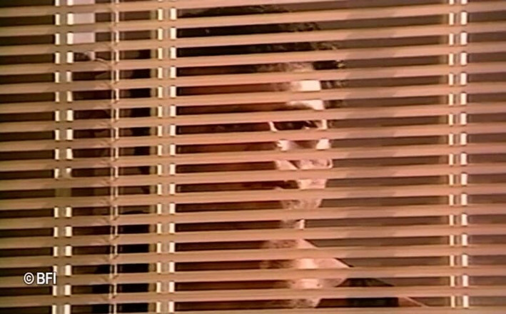 Horny Teenies: Nasty Girls Dvd