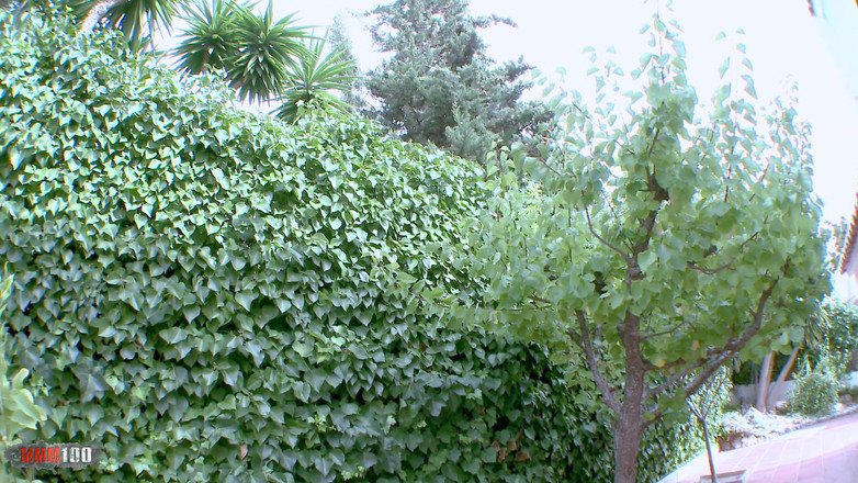 MMM100 Fuck Buddies: Luciferina: Focení v legínách pak šukej s prsatou brazilskou holkou