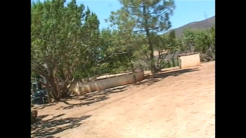 FM Video World: 男孩们的