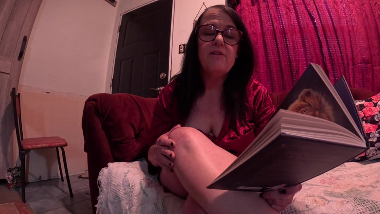 Homesteadmama: Kniha o kočkách