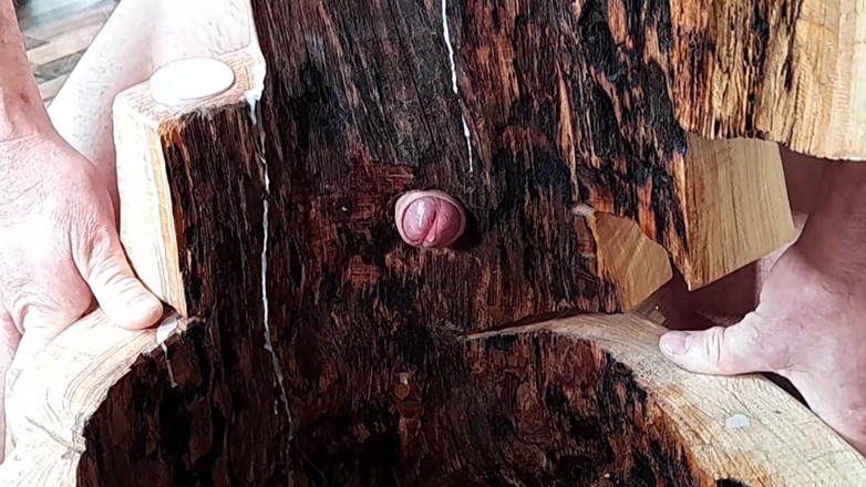 Master Drex: Svícen na šukání