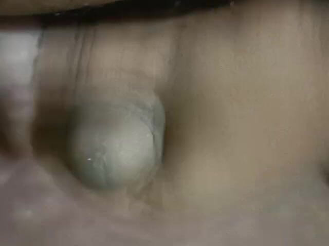 LegalVector8: Masturbare