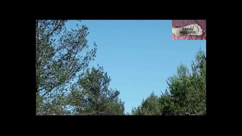 Casal Gresopio Female: Bos Ride 5