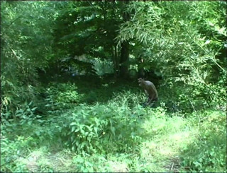 Xtime Network: Big boobs blonde threesome fucking in the forest