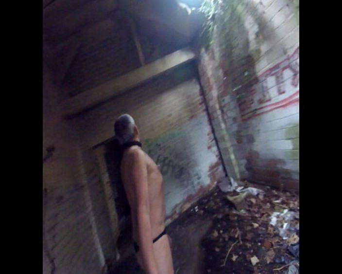 Andy: Nov Walk in the Woods