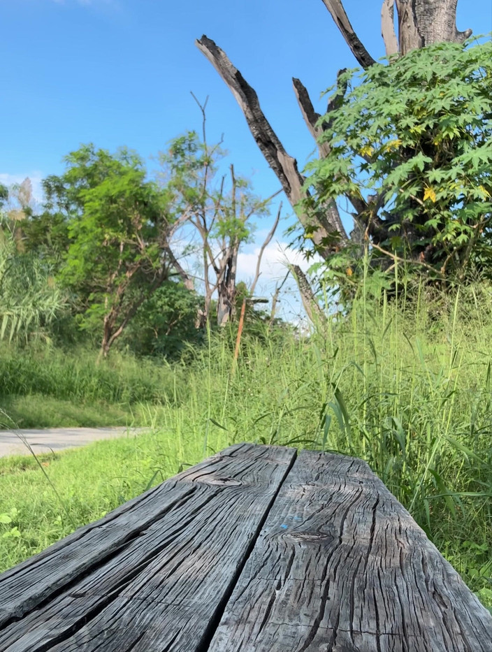 joanraay: Ищу крейсерскую по улице