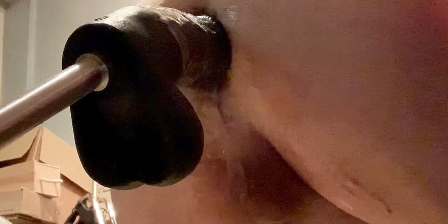 Haggy Baggy: 만연한 거친 두근 두근