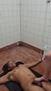Troia porca piscio
