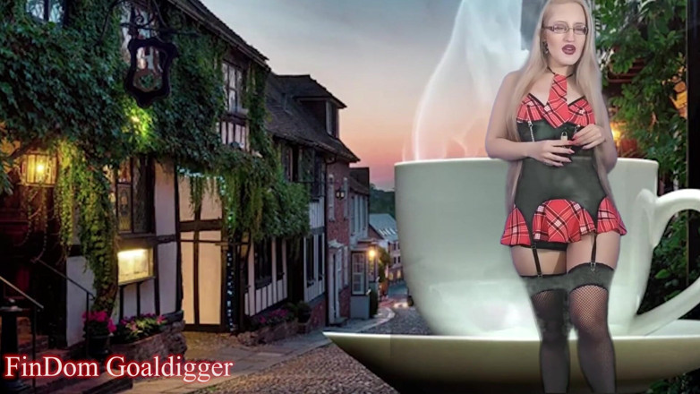 FinDom Goaldigger: First chastity cage lesson