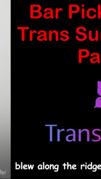 Bar hookup shock del cazzo trans - parte 2