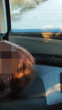 304 Dogging My Stepdaughter in a Parking Lot After College and a Stranger Fucks Her Pussy Until She Squirts