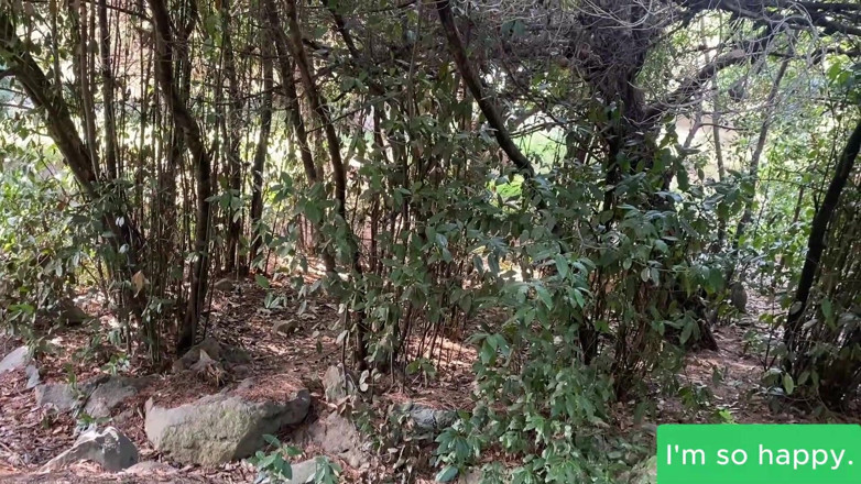 Juan Lucho: Rubia Argentina Chupa Polla En El Bosque