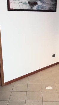 Domina fode sua bunda com um vibrador