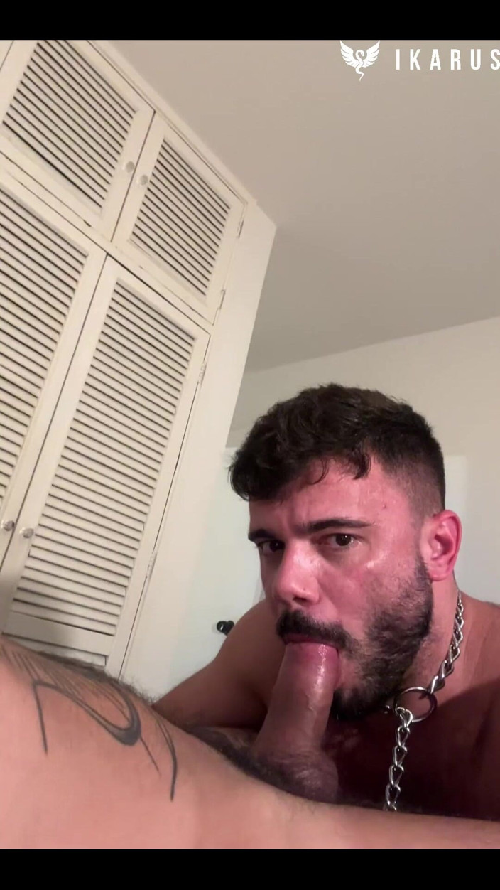 Ikarus: Dmitri é o tipo de cara que me dá borboletas no...