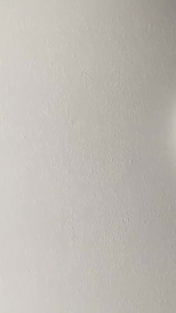 フェラチオと後背位私の妻