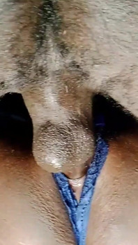 That Sweet Sex I Cant Deny