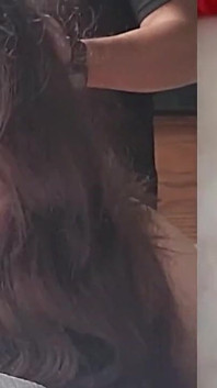 Bitch Is Humiliated with Rough Sex, Slapping and Anal Sex
